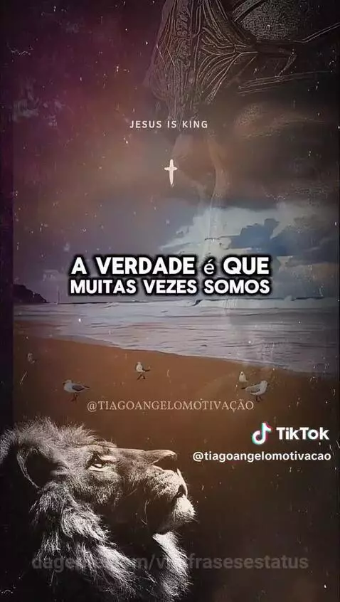 Pedrada do dia by vinifrasesestatus