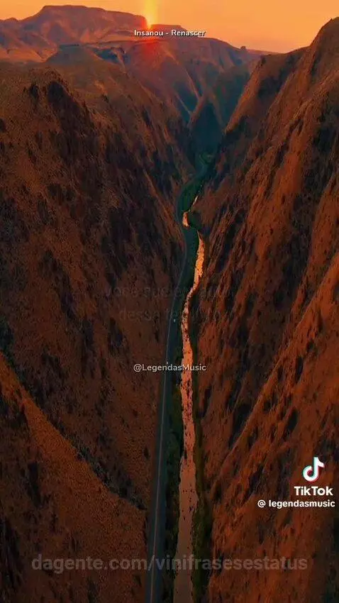 Nada vem de graça, você está disposto a fazer sacrifício pra... by vinifrasesestatus