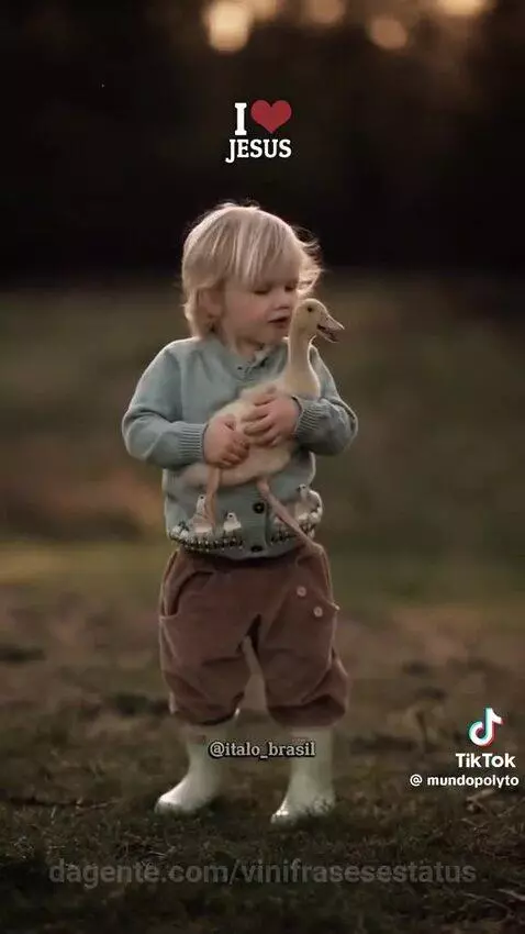Gratidão senhor 😊🙏🏽 
Proteja e abençoe cada pessoa que se... by vinifrasesestatus