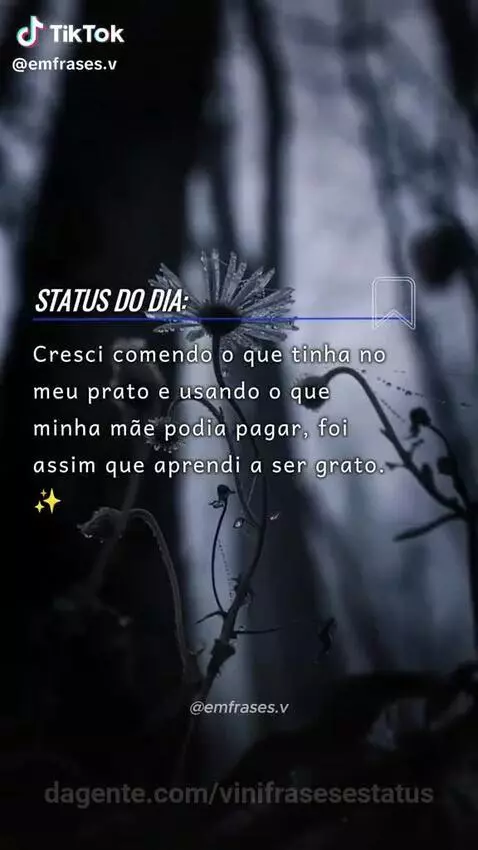 Melhor lição que ela nos ensinou by vinifrasesestatus