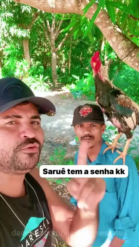 Saruê vc é demais 😂😂😂😂 by vinifrasesestatus