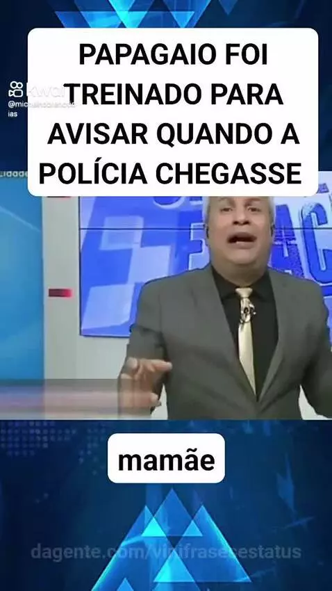 Papagaio fofoqueiro 😂😂😂😂😂 by vinifrasesestatus