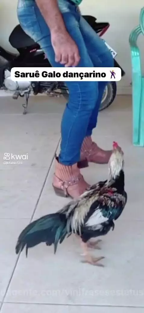 Dança muito 😂👏🏽🤝 by vinifrasesestatus