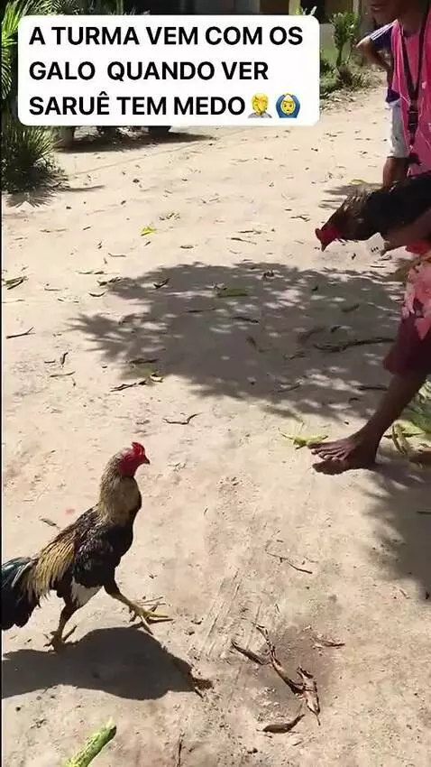 Pensa num bicho valente by vinifrasesestatus