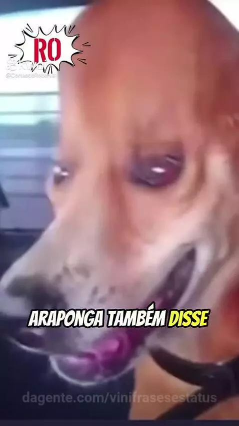 Mano do céu 🤣 by vinifrasesestatus