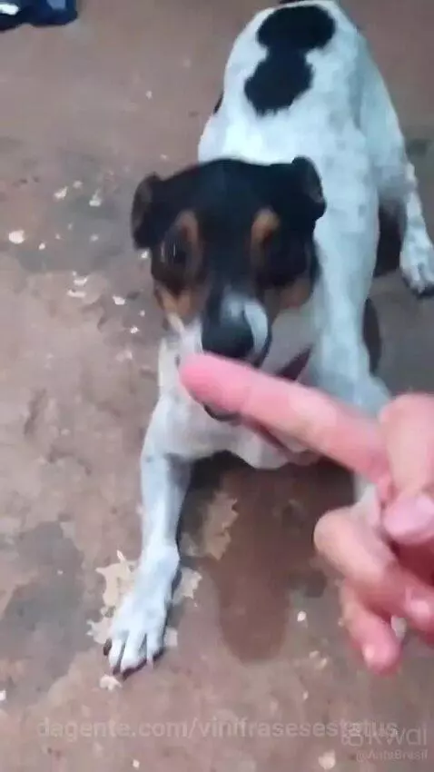 Não devia ter feito isso 🤣😳 by vinifrasesestatus