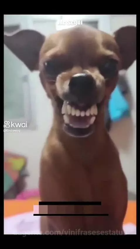 Confira esses momentos engraçados 🤣🤣🤣 by vinifrasesestatus