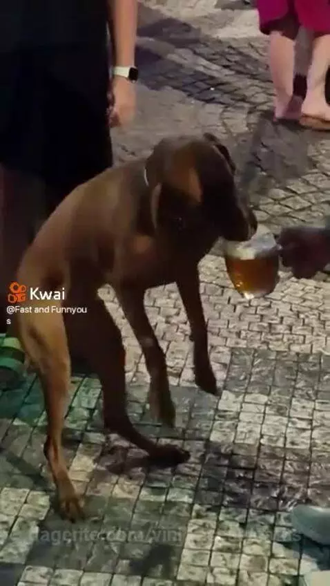 Manda pros seus amigos que gosta de beber 😂🤭 by vinifrasesestatus