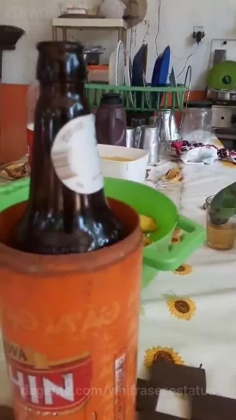 Papagaio bebendo cerveja 🍺😂👏🏽 by vinifrasesestatus