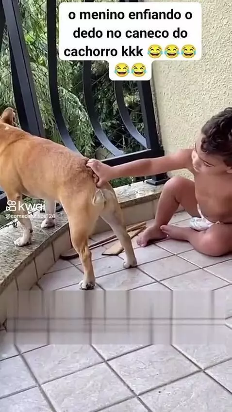 menino terrível 😂😂😂😂 by vinifrasesestatus