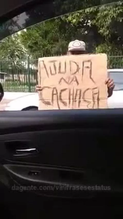 cerveja, viral, views by vinifrasesestatus