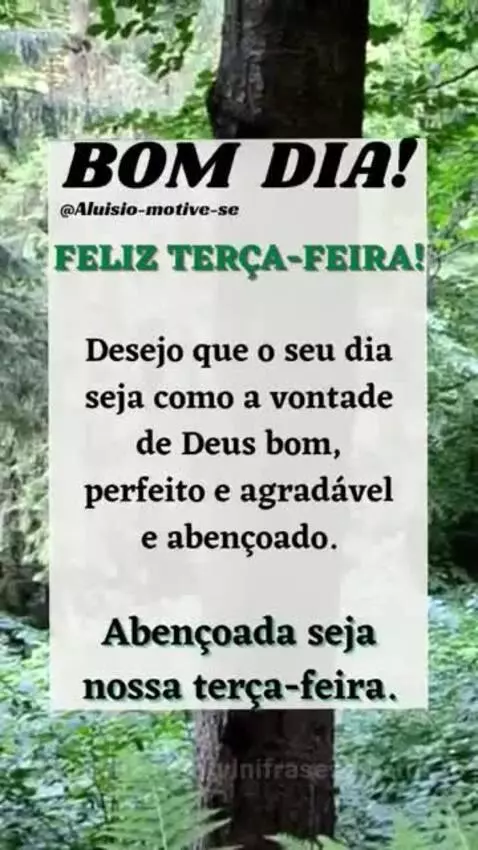 viral, views, view by vinifrasesestatus