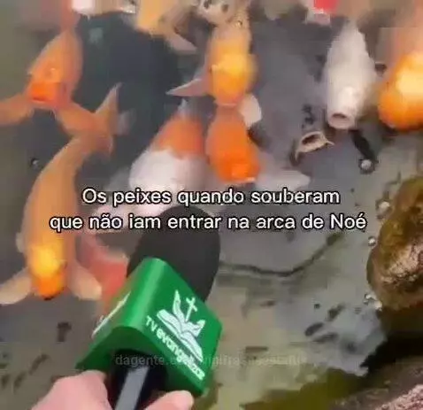 views, viral, view by vinifrasesestatus