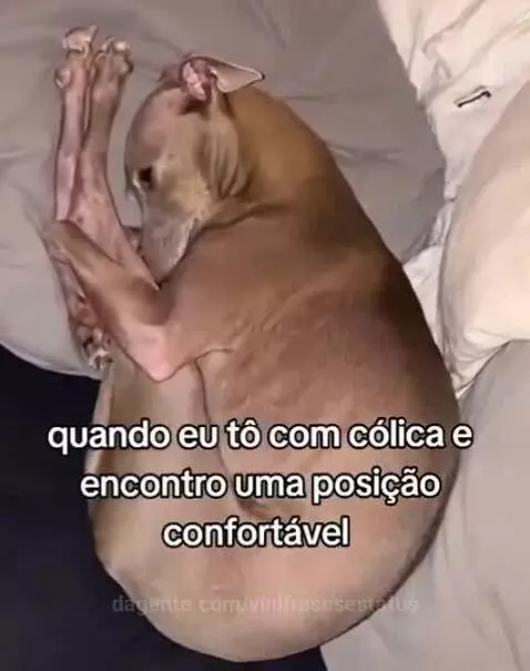 🤭😅😂 by vinifrasesestatus