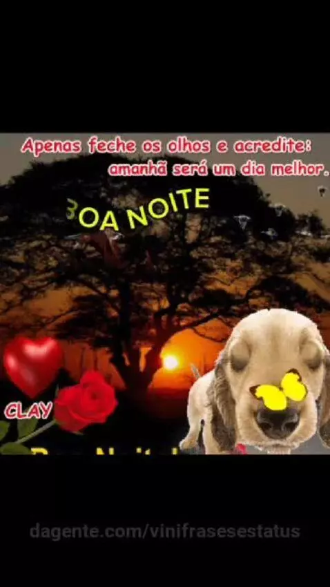 Boa noite  🌃 by vinifrasesestatus