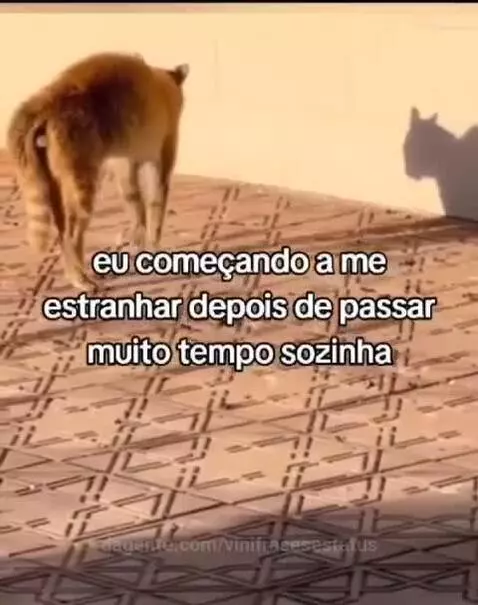 hahahah by vinifrasesestatus