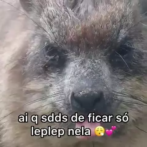 viral, views, view by vinifrasesestatus