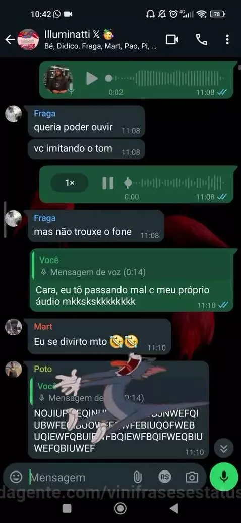 Imitando o tom hahahah by vinifrasesestatus