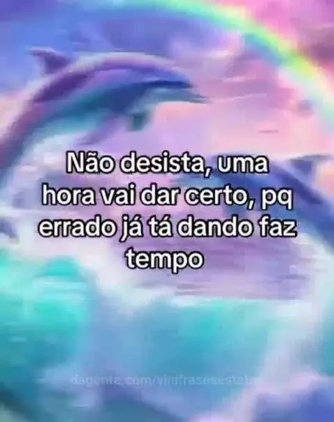 Brasileiro um povo que nunca desiste by vinifrasesestatus