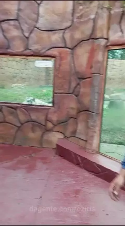 Video by oziris