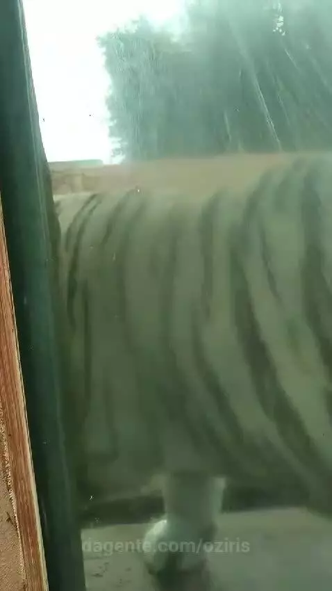 Video by oziris