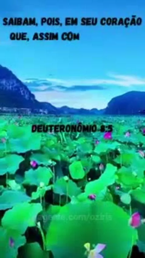 Video by oziris