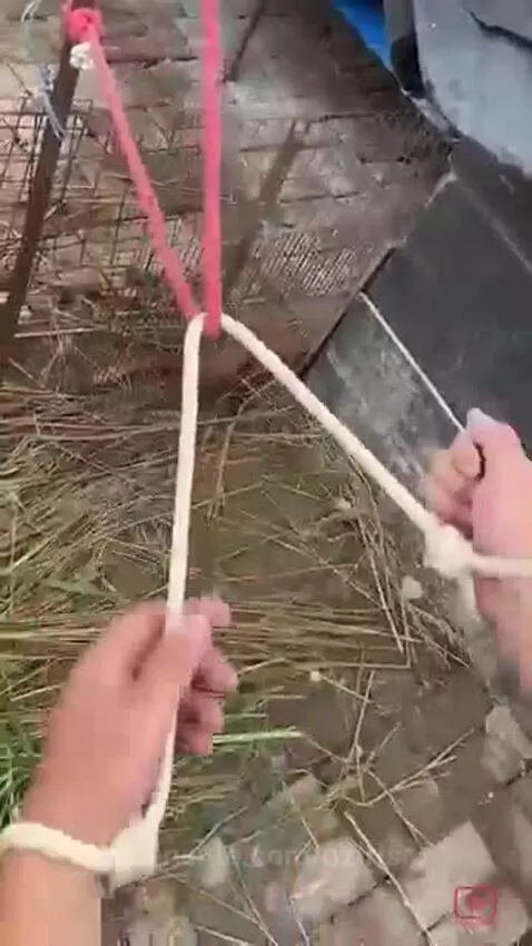 Video by oziris