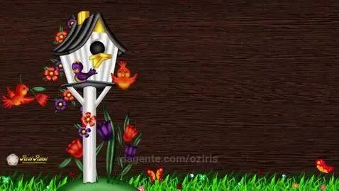 Video by oziris