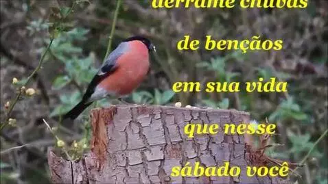 Video by oziris