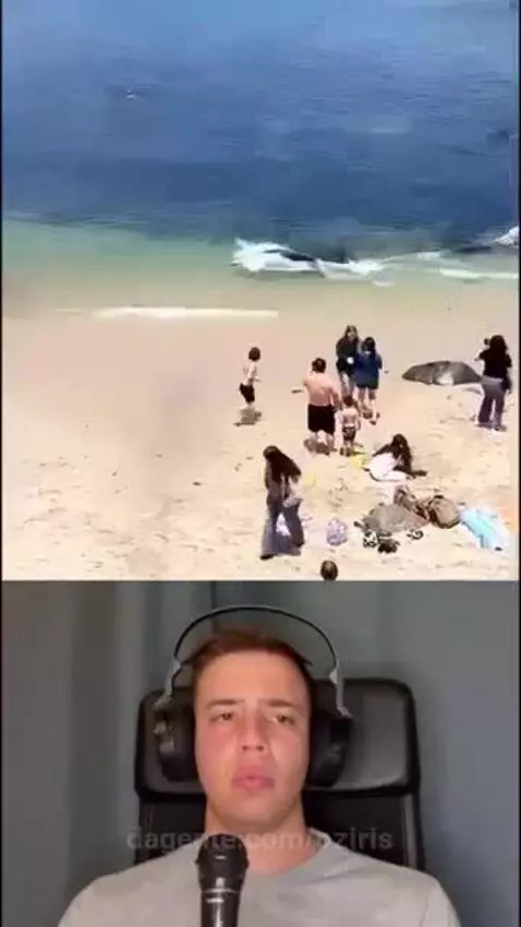 Video by oziris