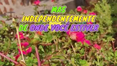 Video by oziris