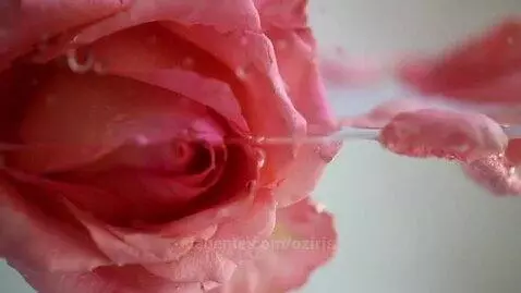 video poster