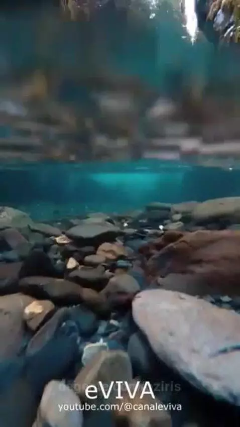 Video by oziris