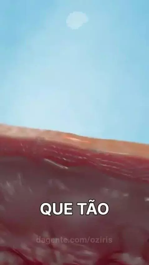 Prévia da publicação de oziris