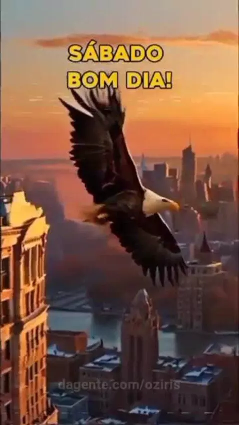 Video by oziris