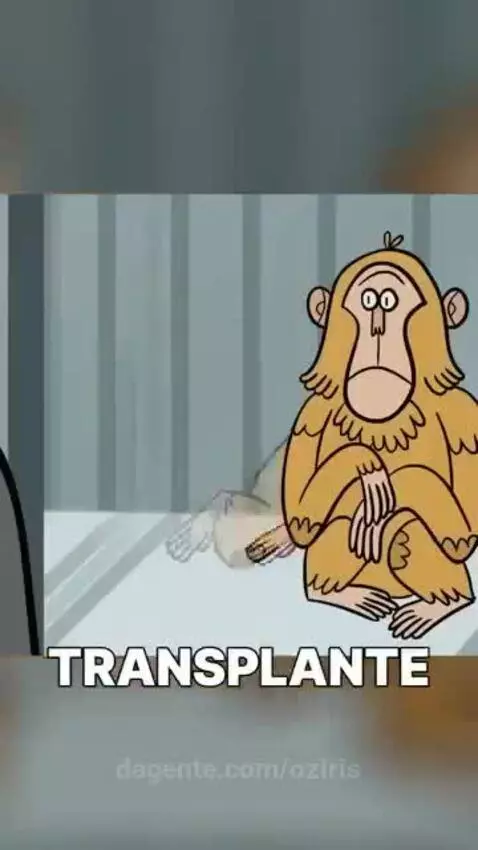 Prévia da publicação de oziris