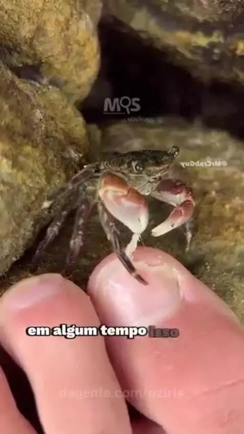 Video by oziris