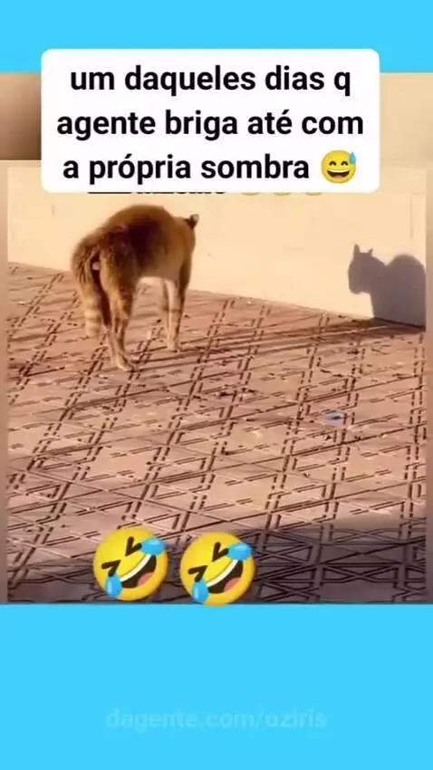 Video by oziris