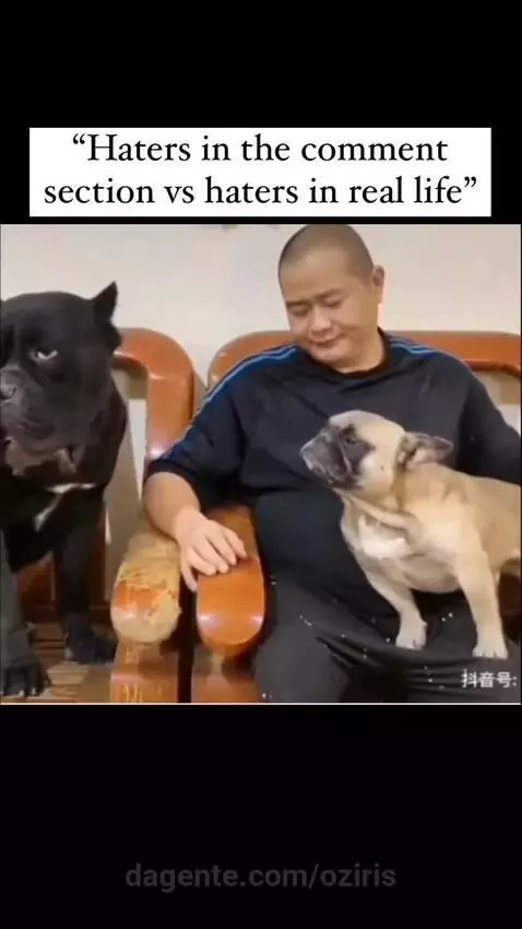 Video by oziris