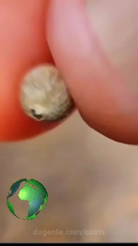 video poster