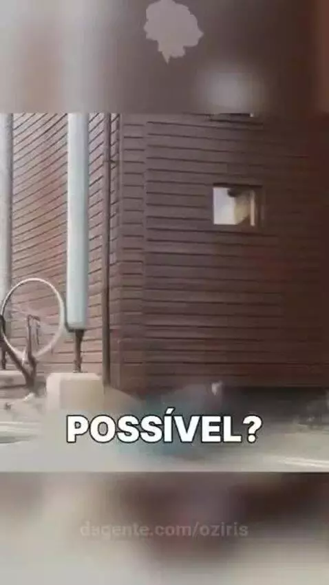 Video by oziris