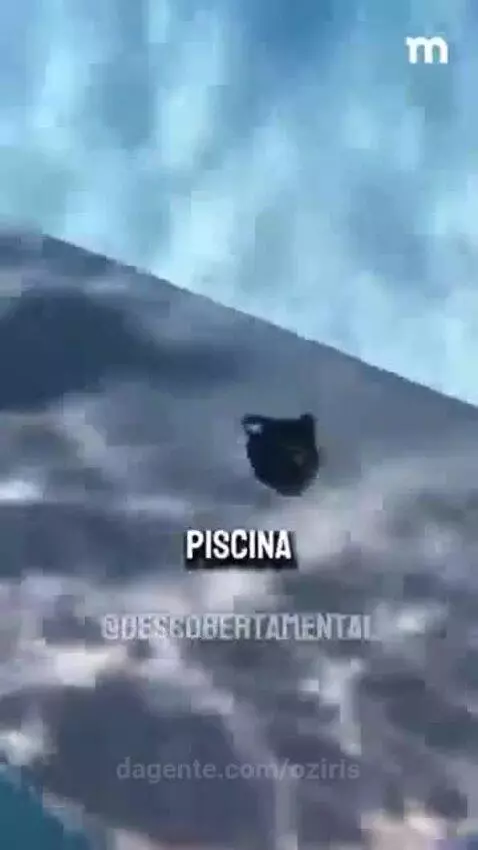 Prévia da publicação de oziris