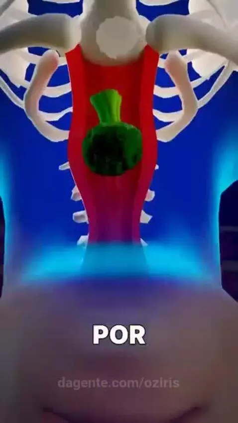 Prévia da publicação de oziris