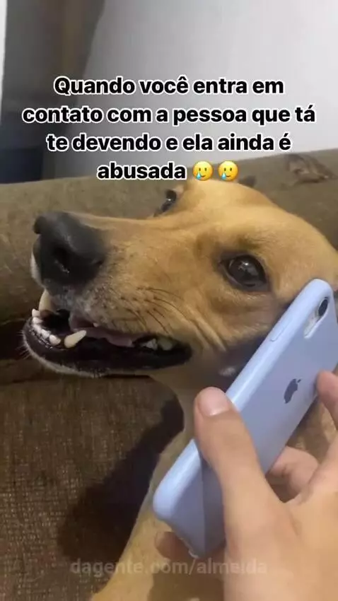 O Caloteiro 😂😂😂😂 by almeida