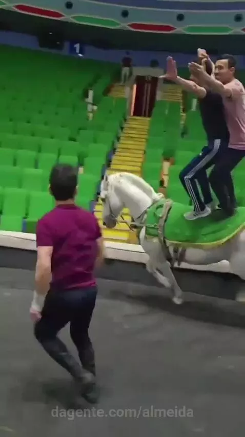 Aprenda subir no cavalo sem Cair by almeida