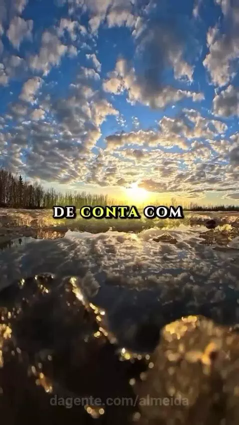 Acorda  pra vida! by almeida