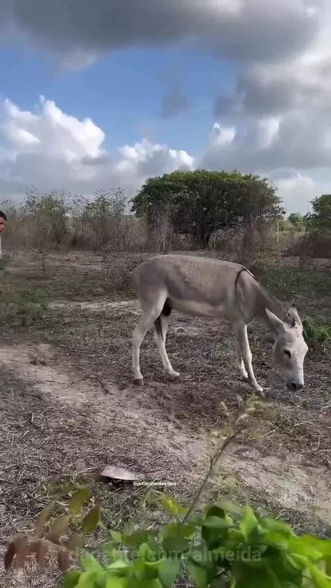 Deixou vovó 😂😂😂😂 by almeida