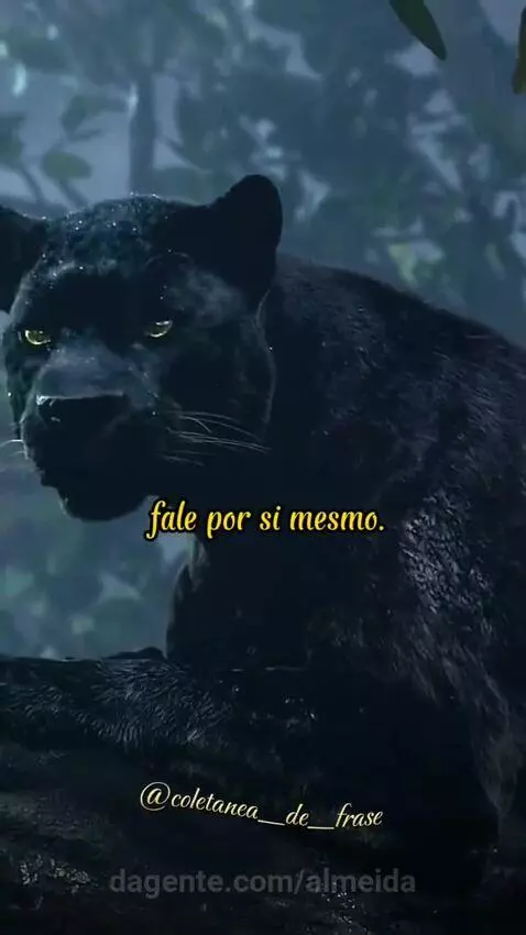 Conselhos Valiosos by almeida