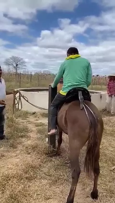 O Bicho é nervoso! by almeida