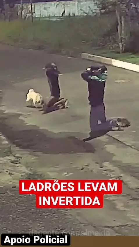 Se lascou mané! by almeida